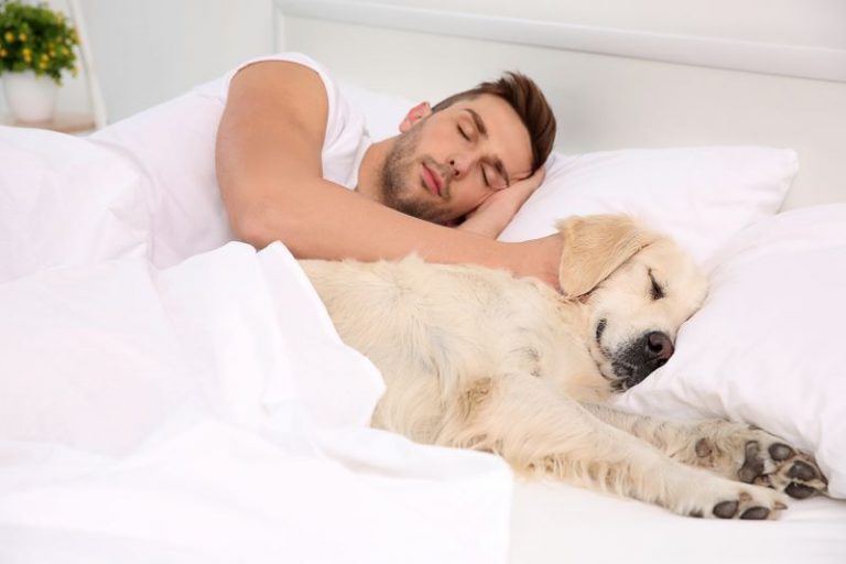 The Pros and Cons of Sleeping with Your Pet Florida Dental Sleep
